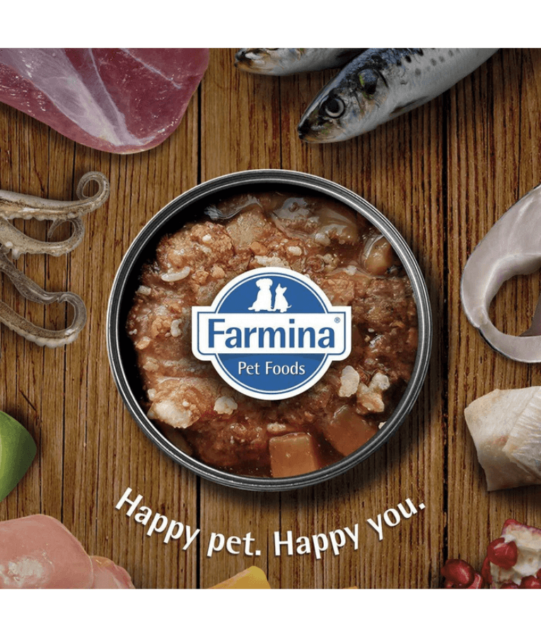 Farmina - N&D Chicken & Pomegranate, Grain-Free, High Animal Protein, Low Glycemic, Adult All Breed Sizes Wet Dog Food - 285 g