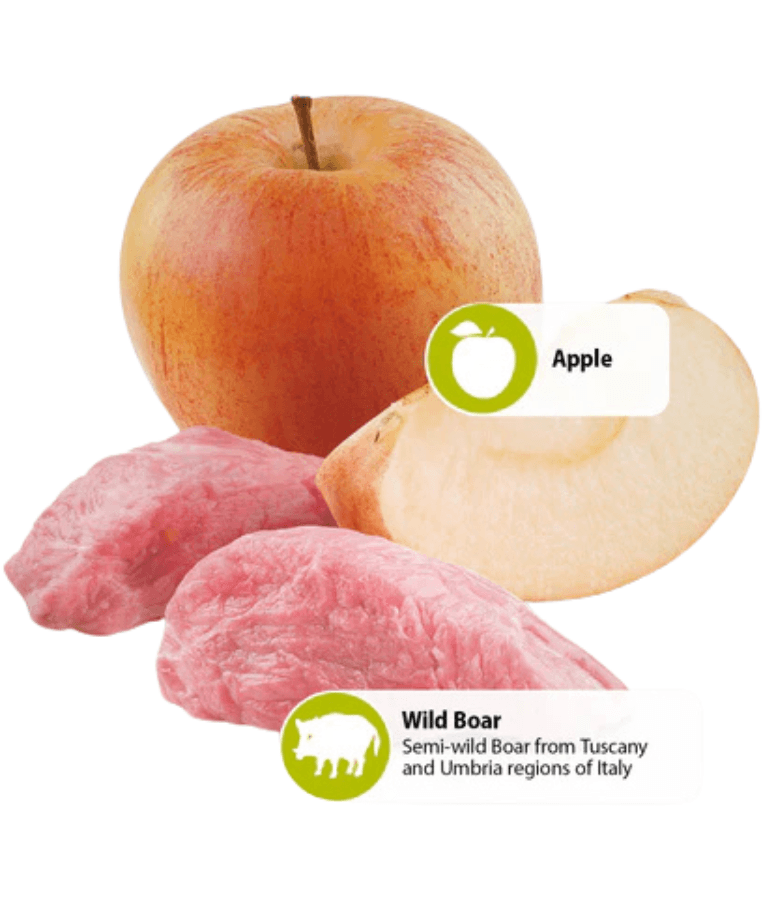 Farmina - N&D Wild Boar & Apple, Grain-Free, High Animal Protein, Low Glycemic, Adult All Breeds, Wet Dog Food - 285 g