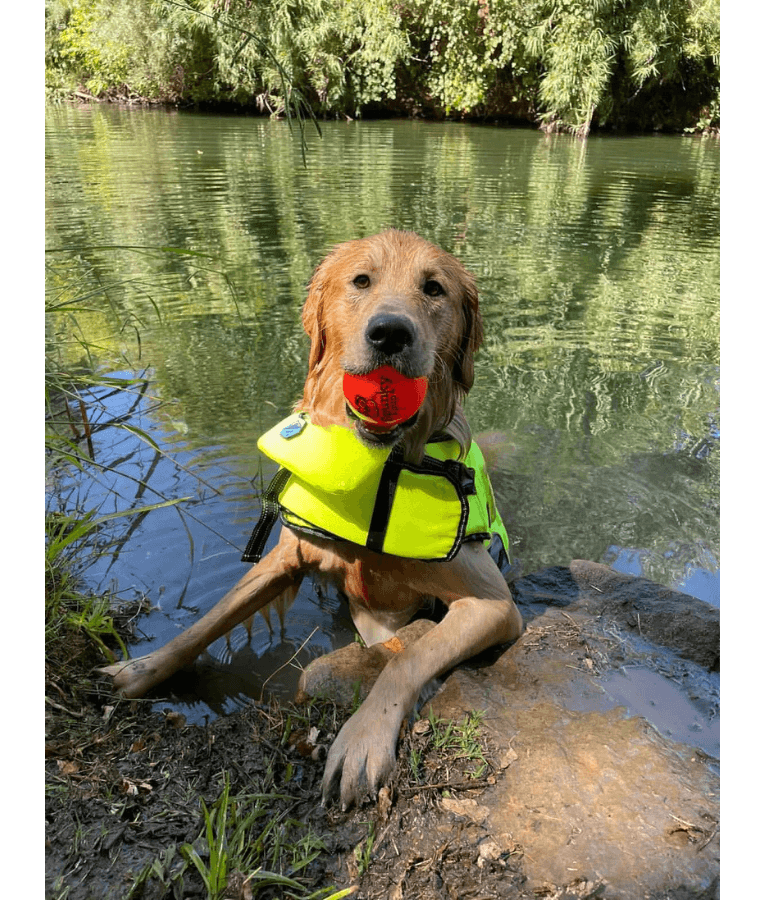 Spunky Pup - Fetch & Glow Ball, Glow In The Dark Floating Fetch Toy, Durable Non Toxic Design - Large