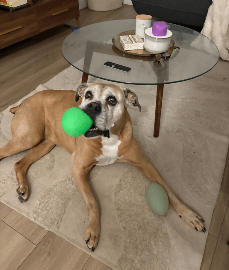 Spunky Pup - Squeak & Glow Football, Glow-in-the-Dark Floating Dog Fetch Toy, Squeaky Textured Football