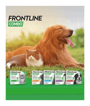 Frontline Combo Spot On For Cats (Sold per Pipette)