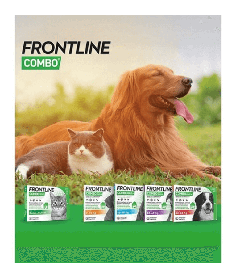 Frontline Combo Spot On For Cats (Sold per Pipette)