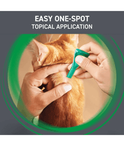 Frontline Combo Spot On For Cats (Sold per Pipette)