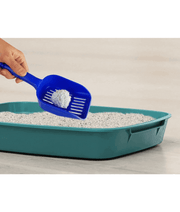 Kiki Kat Cat Litter – Activated Carbon