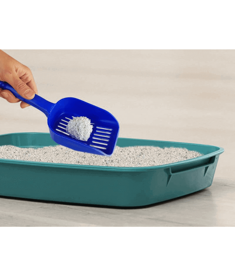 Kiki Kat Cat Litter – Activated Carbon