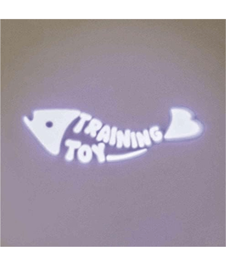Trixie - LED Pointer Catch the Light