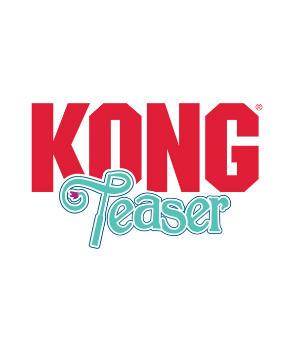 Kong - Teaser Scrattles Fish