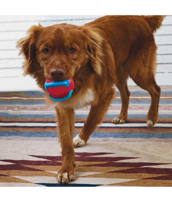 Kong - Jaxx Brights Ball Assorted