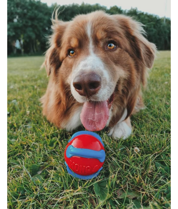 Kong - Jaxx Brights Ball Assorted