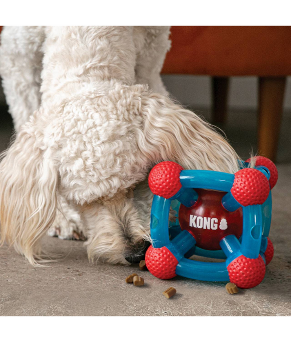 Kong - Tinker