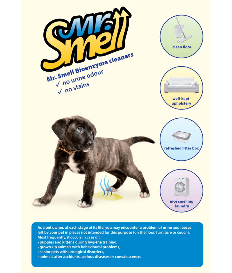 Mr. Smell - Sofa & Carpet Stain Remover, Bio-Enzymatic Technology, Urine & Stain Elimination - 500 ml