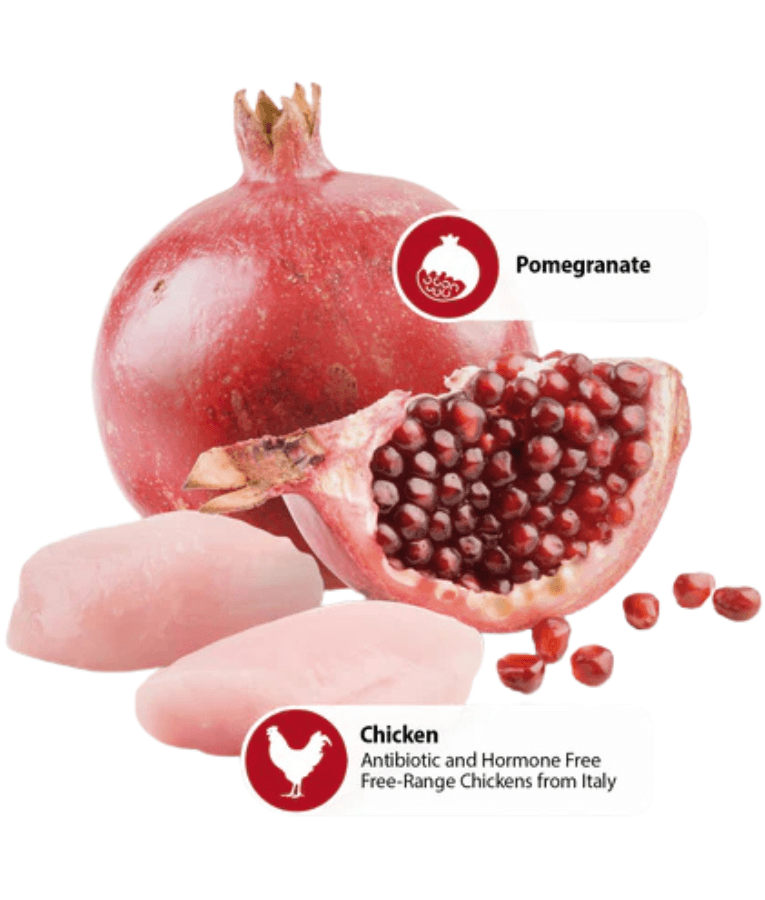 Farmina - N&D Chicken & Pomegranate, Grain-Free, High Animal Protein, Low Glycemic, Adult All Breed Sizes Wet Dog Food - 285 g