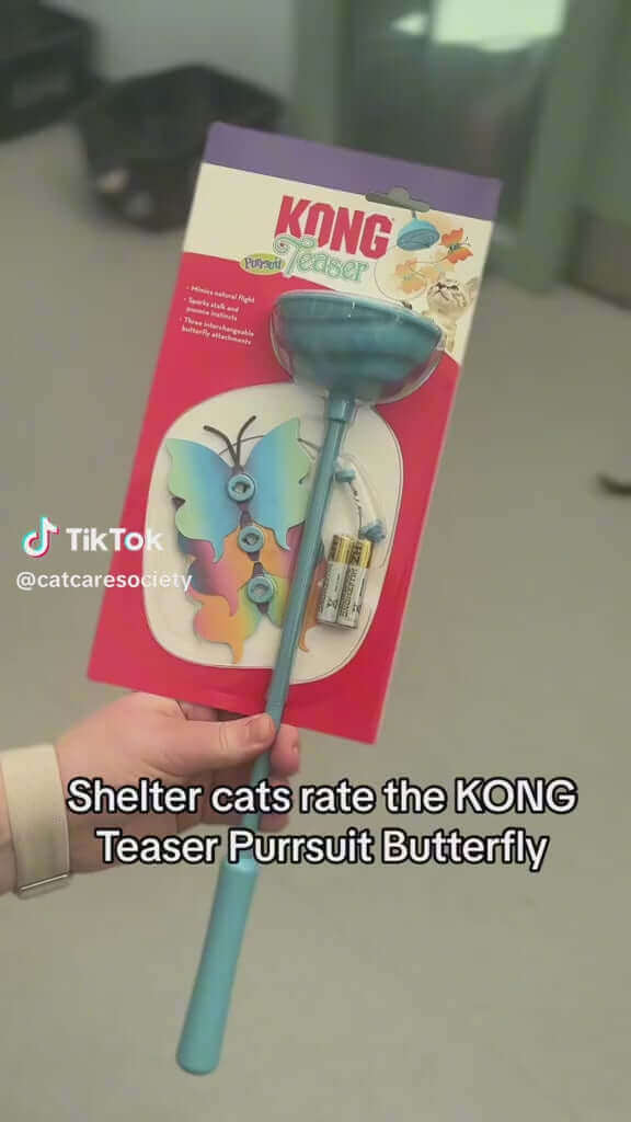Kong - Teaser Purrsuit Butterfly