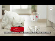 Royal Canin - Sterilised Mini Dog Food – Weight Control for Neutered Mini & Small Breeds – 3 kg being served to a small dog.