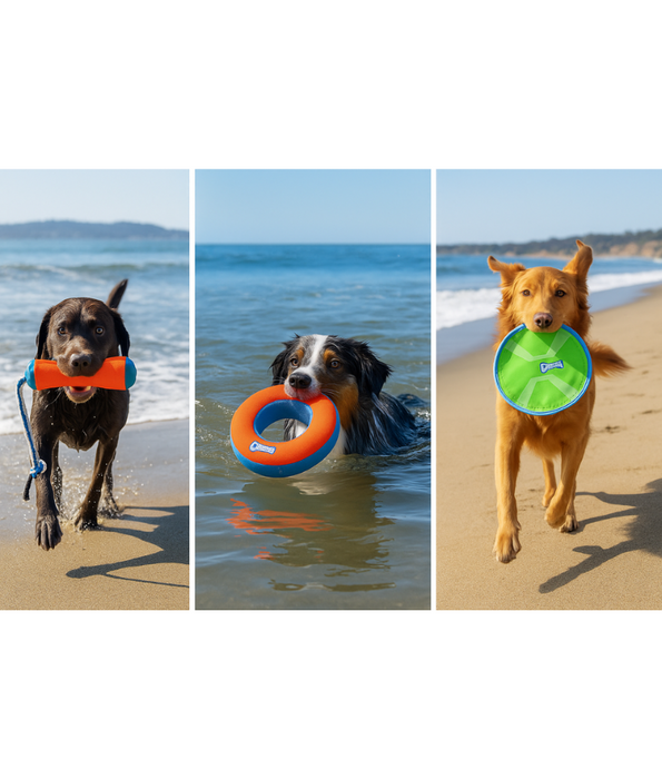 The Chuckit! Beach Play Pack – Floating Trio Toys for Active Dogs (Frisbee, Roller & Tug) 3 in 1 Bundle