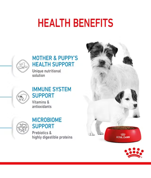 Royal Canin - Mini Starter Mother & Babydog, Chicken, Immune Support, Digestive Health, Mini Breed Dog Dry Dog Food - 4 kg