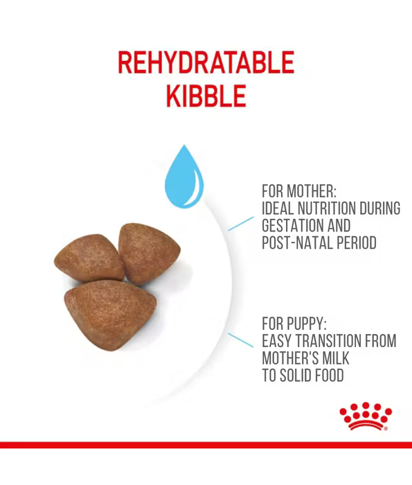 Royal Canin - Mini Starter Mother & Babydog, Chicken, Immune Support, Digestive Health, Mini Breed Dog Dry Dog Food - 4 kg