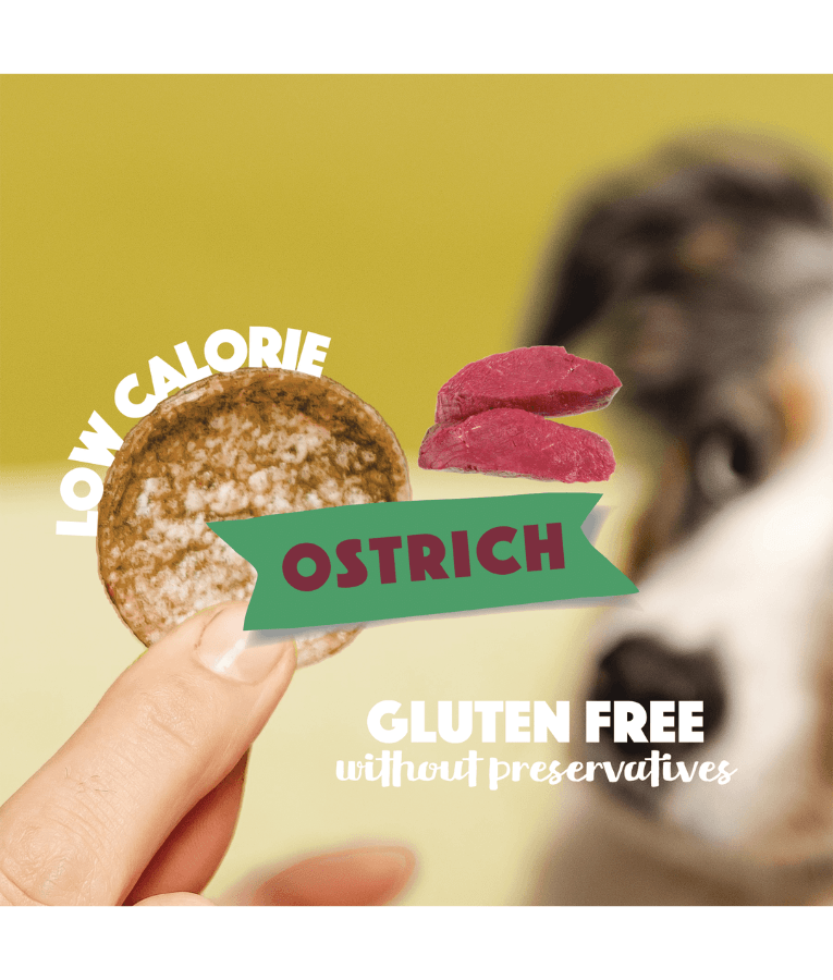 Smoofl - Dog Chips Ostrich, Rice-Based Low Calorie Treat, Mono Protein, Hypoallergenic, Easy to Digest, Adult - 50 g