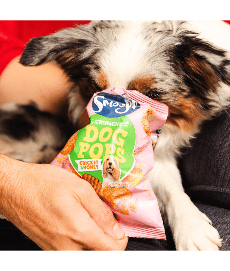 Smoofl - Dog Pops Cricket & Honey, Rice-Based Low Fat Treat, High Protein, Adult, All Breed Sizes - 24 g