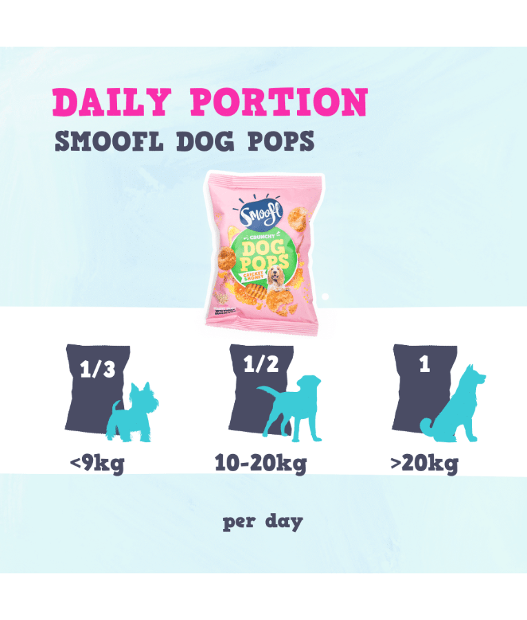 Smoofl - Dog Pops Cricket & Honey, Rice-Based Low Fat Treat, High Protein, Adult, All Breed Sizes - 24 g