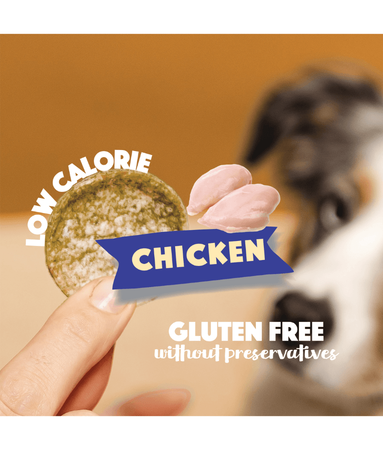 Smoofl - Dog Chips Chicken, Rice-Based Low Calorie Treat, Mono Protein, Easy to Digest, Adult, All Breed Sizes - 50 g