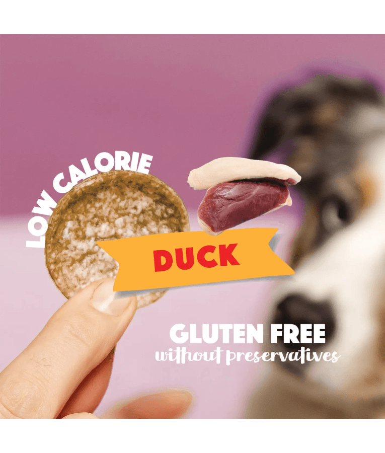 Smoofl - Dog Chips Duck, Rice-Based Low Calorie Treat, Mono Protein, Easy to Digest, Adult, All Breed Sizes - 50 g