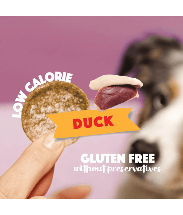 Smoofl - Dog Chips Duck, Rice-Based Low Calorie Treat, Mono Protein, Easy to Digest, Adult, All Breed Sizes - 50 g