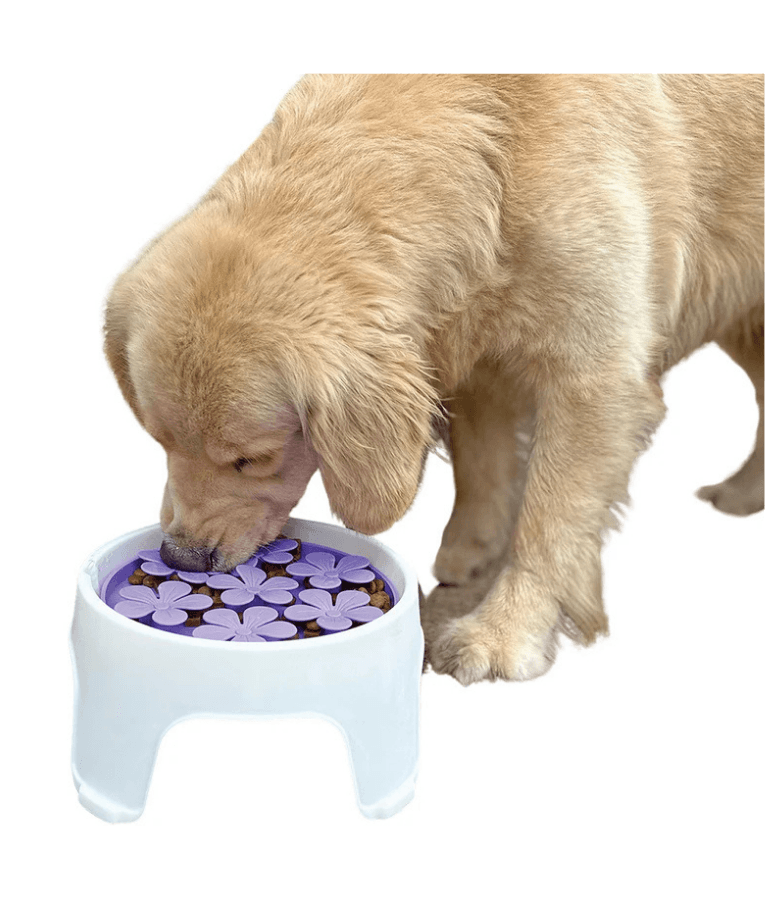 Spunky Pup - 3-in-1 Lick Pad, Slow Feeder & Elevated Bowl for Dogs - Purple