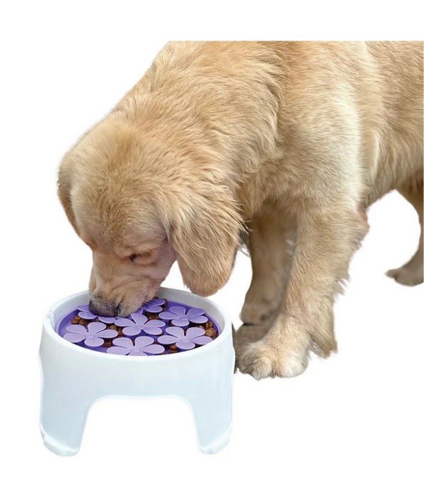 Spunky Pup - 3-in-1 Lick Pad, Slow Feeder & Elevated Bowl for Dogs - Purple