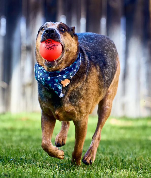 Spunky Pup - Fetch & Glow Ball, Glow In The Dark Floating Fetch Toy, Durable Non Toxic Design - Large