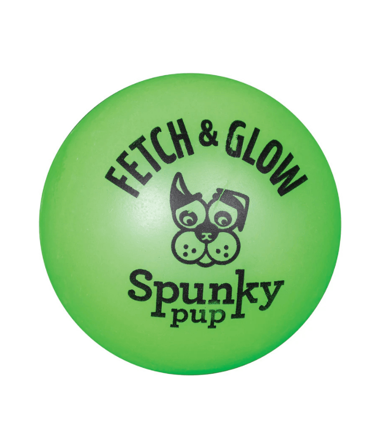 Spunky Pup - Fetch & Glow Balls, Glow-in-the-Dark Floating Fetch Toy, Assorted 2-Pack - Small
