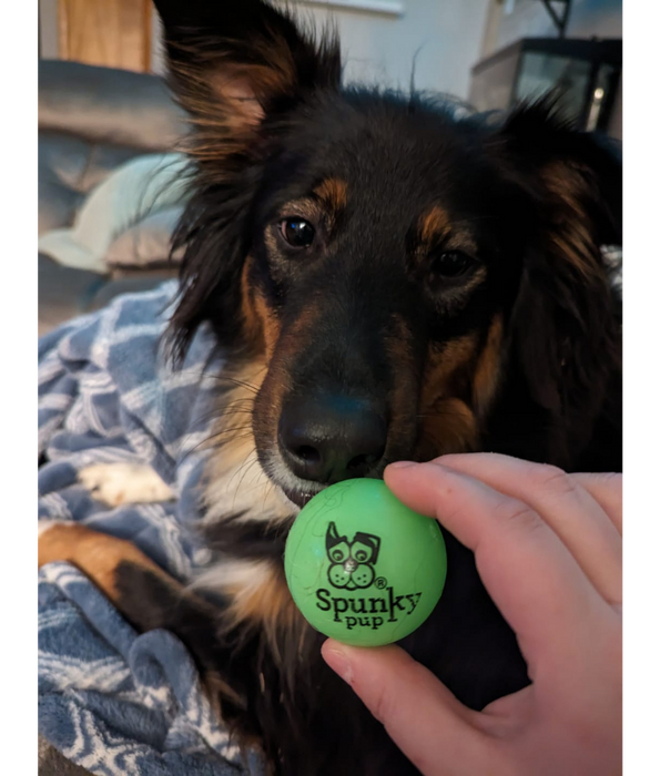 Spunky Pup - Fetch & Glow Ball, Glow In The Dark Floating Fetch Toy, Durable Non Toxic Design - Medium