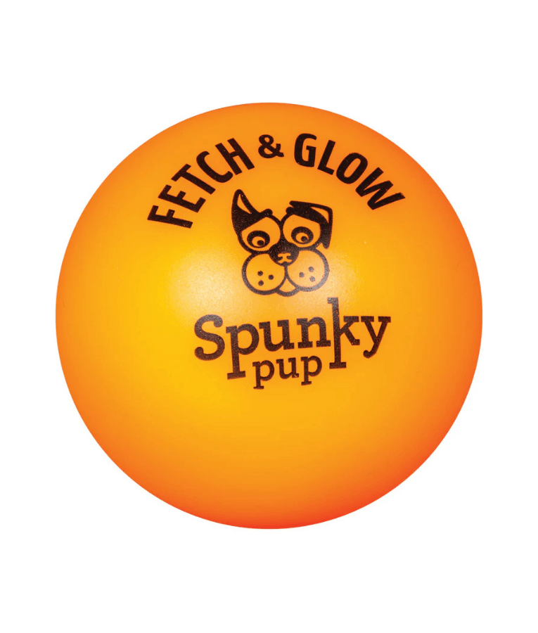 Spunky Pup - Fetch & Glow Balls, Glow-in-the-Dark Floating Fetch Toy, Assorted 2-Pack - Small