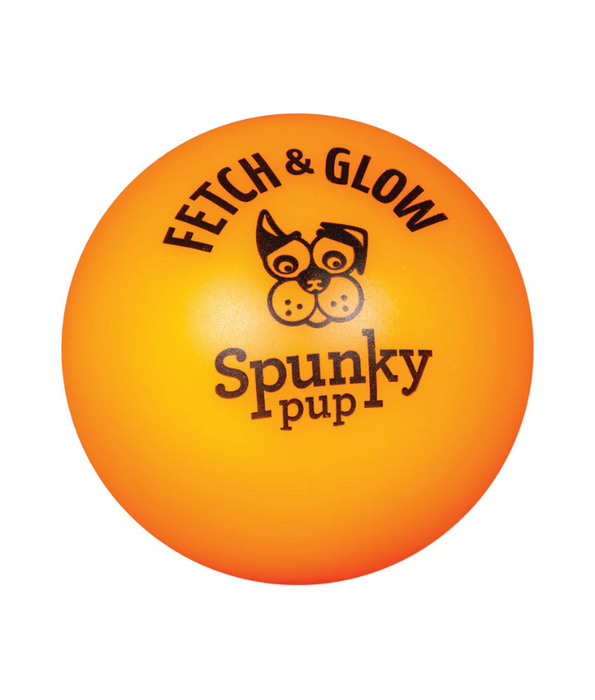 Spunky Pup - Fetch & Glow Balls, Glow-in-the-Dark Floating Fetch Toy, Assorted 2-Pack - Small