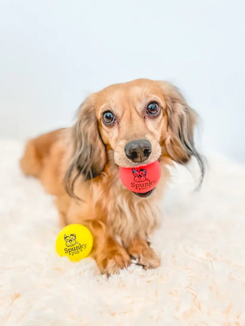 Spunky Pup - Fetch & Glow Balls, Glow-in-the-Dark Floating Fetch Toy, Assorted 2-Pack - Small