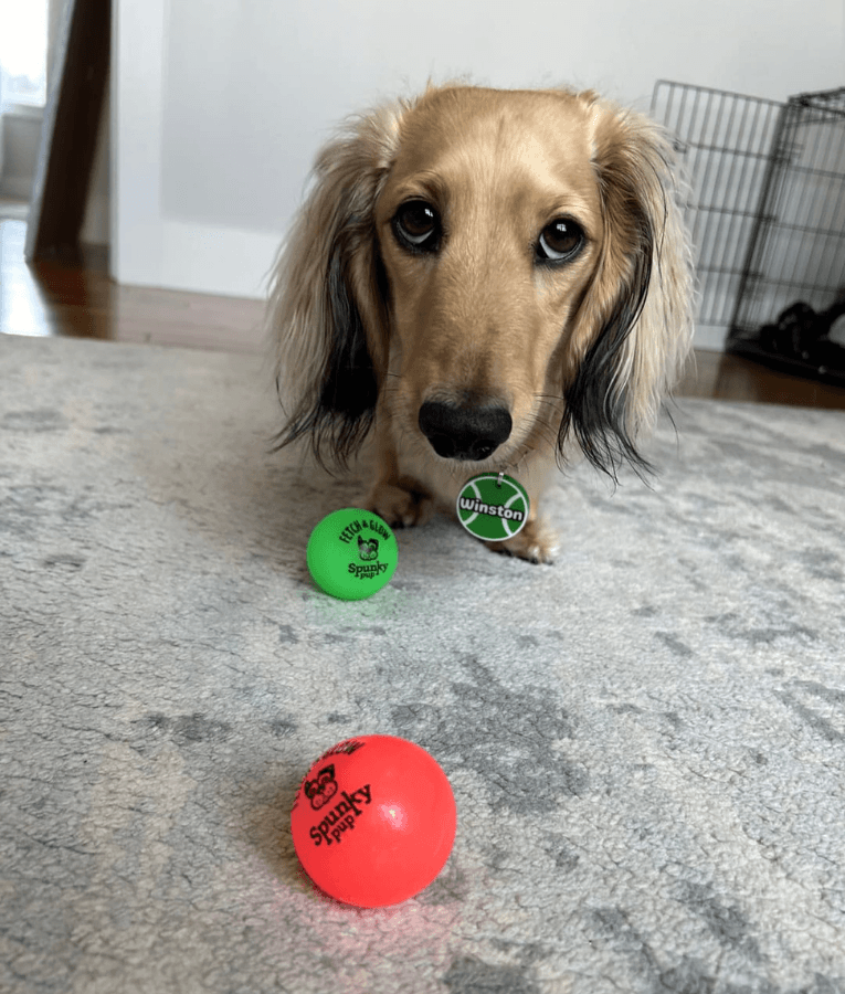 Spunky Pup - Fetch & Glow Balls, Glow-in-the-Dark Floating Fetch Toy, Assorted 2-Pack - Small