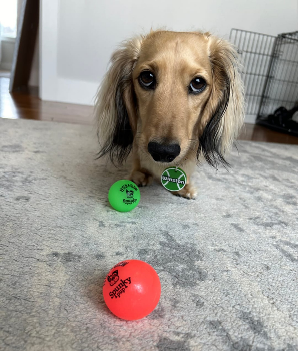 Spunky Pup - Fetch & Glow Balls, Glow-in-the-Dark Floating Fetch Toy, Assorted 2-Pack - Small
