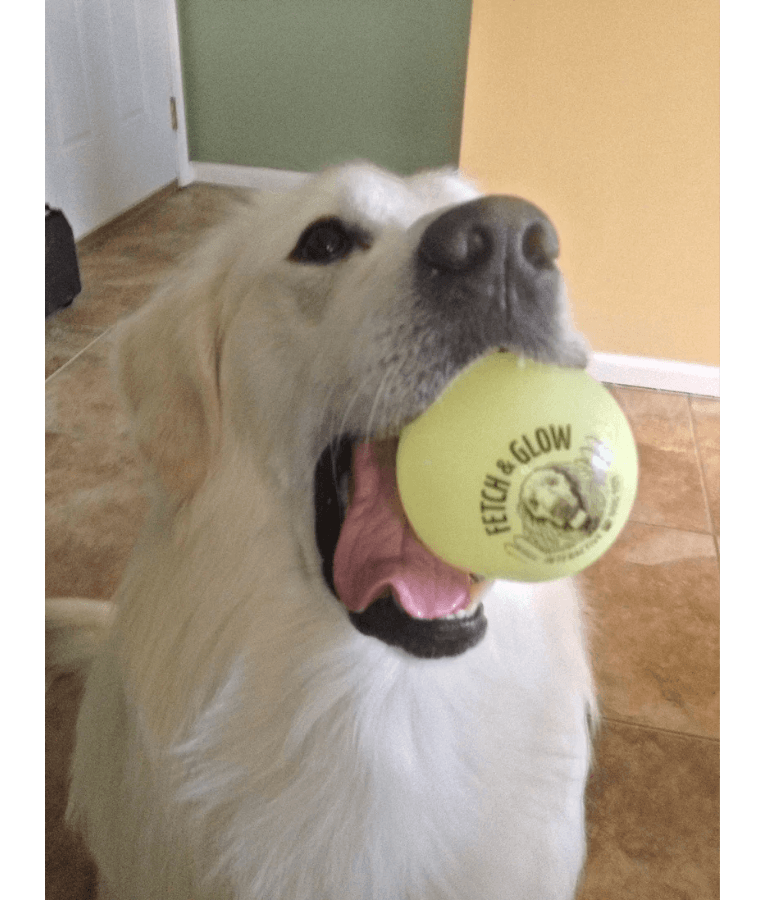 Spunky Pup - Fetch & Glow Ball, Glow In The Dark Floating Fetch Toy, Durable Non Toxic Design - Large