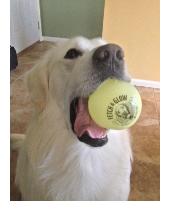 Spunky Pup - Fetch & Glow Ball, Glow In The Dark Floating Fetch Toy, Durable Non Toxic Design - Large