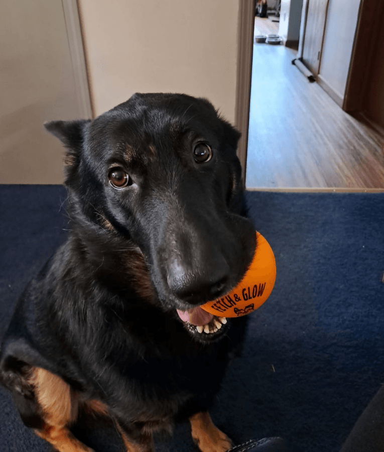 Spunky Pup - Fetch & Glow Ball, Glow In The Dark Floating Fetch Toy, Durable Non Toxic Design - Large