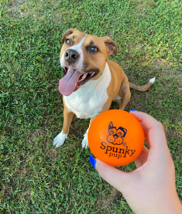 Spunky Pup - Fetch & Glow Ball, Glow In The Dark Floating Fetch Toy, Durable Non Toxic Design - Medium