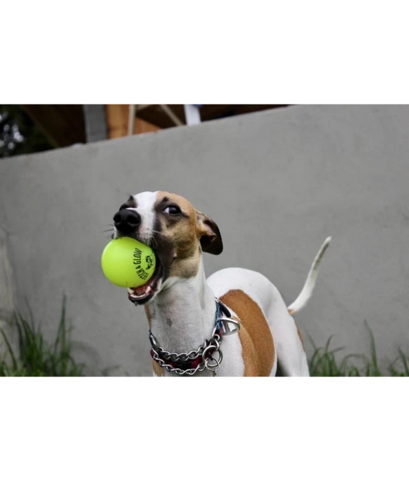 Spunky Pup - Fetch & Glow Ball, Glow In The Dark Floating Fetch Toy, Durable Non Toxic Design - Medium