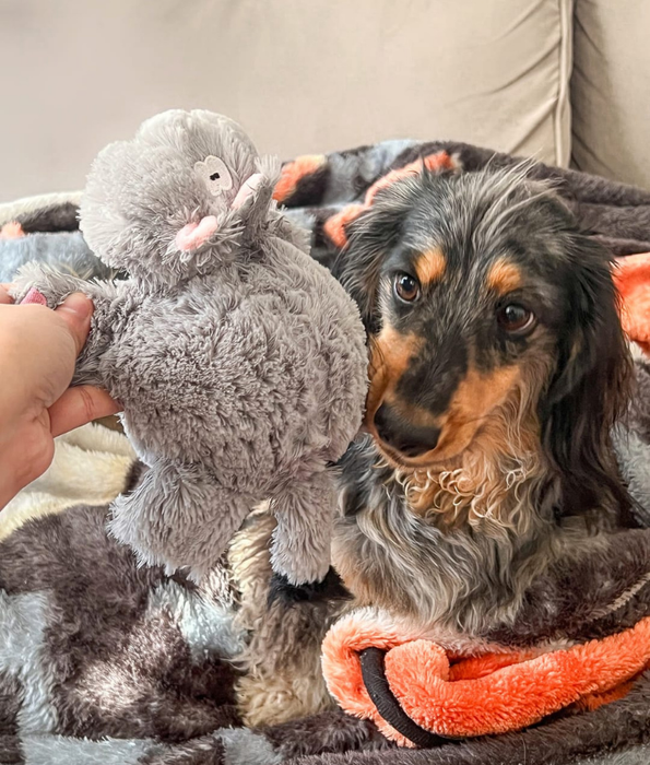 Spunky Pup - Furry Friends Plush Hippo, Squeaky Crinkle Ball Dog Toy