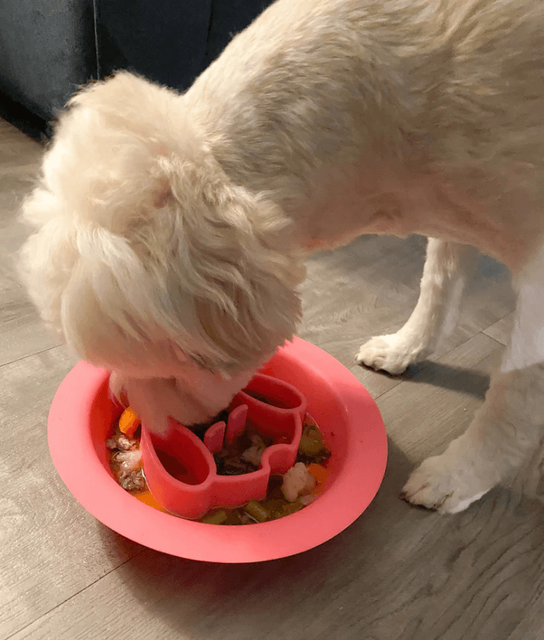 Spunky Pup - Slow Feeder & Lick Pad Combo, Food-Grade Silicone Slow Feeding Bowl for Dogs - Pink & Purple