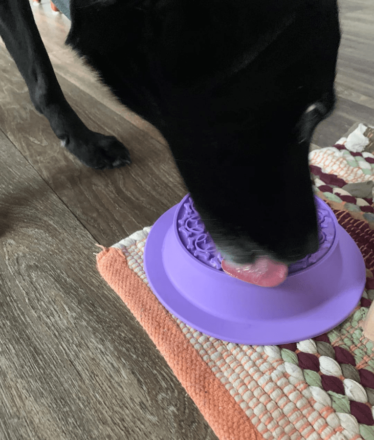 Spunky Pup - Slow Feeder & Lick Pad Combo, Food-Grade Silicone Slow Feeding Bowl for Dogs - Pink & Purple