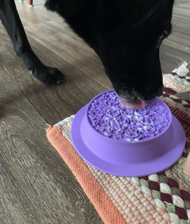 Spunky Pup - Slow Feeder & Lick Pad Combo, Food-Grade Silicone Slow Feeding Bowl for Dogs - Pink & Purple
