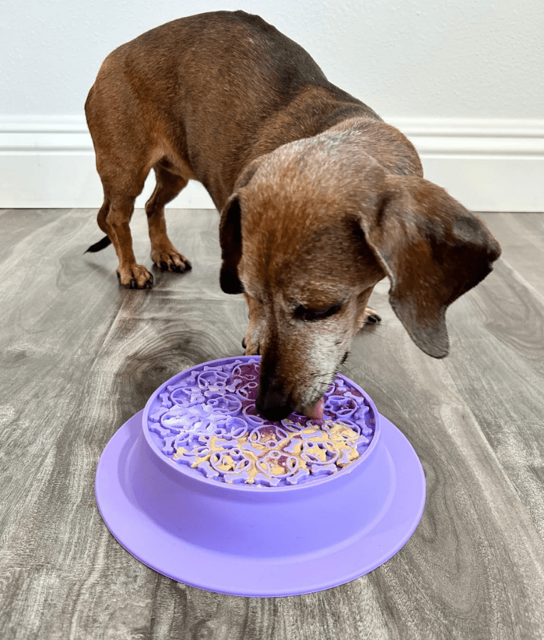 Spunky Pup - Slow Feeder & Lick Pad Combo, Food-Grade Silicone Slow Feeding Bowl for Dogs - Pink & Purple