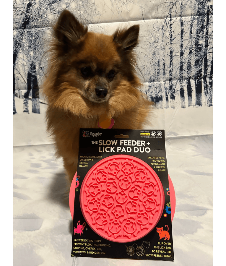 Spunky Pup - Slow Feeder & Lick Pad Combo, Food-Grade Silicone Slow Feeding Bowl for Dogs - Pink & Purple