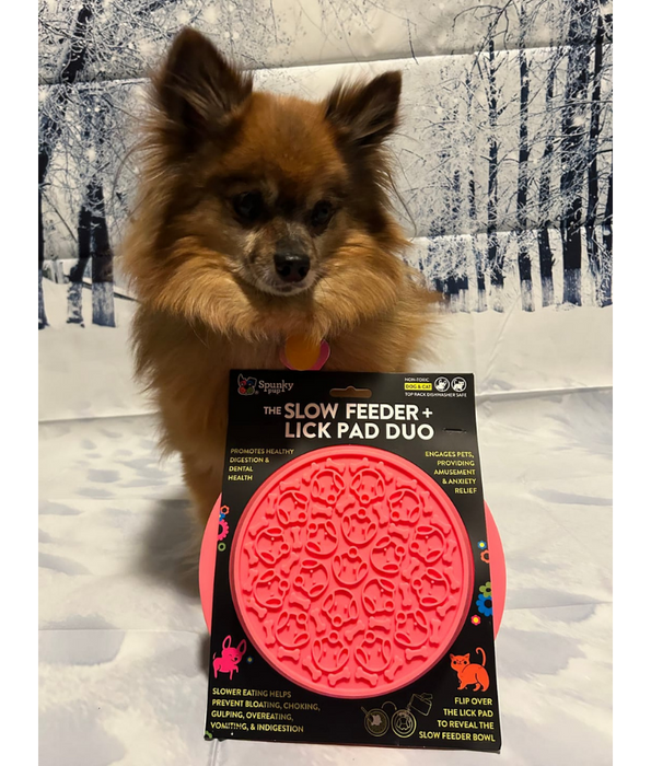 Spunky Pup - Slow Feeder & Lick Pad Combo, Food-Grade Silicone Slow Feeding Bowl for Dogs - Pink & Purple