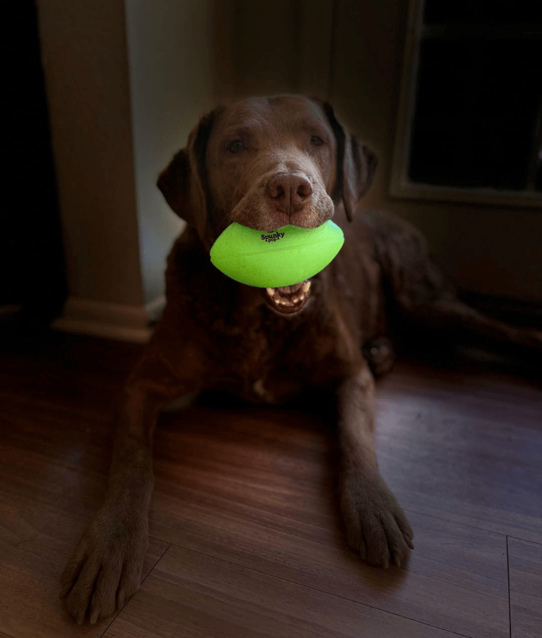 Spunky Pup - Squeak & Glow Football, Glow-in-the-Dark Floating Dog Fetch Toy, Squeaky Textured Football